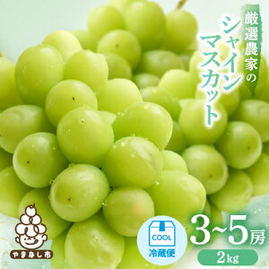 �y�ӂ邳�Ɣ[�Łz�y2026�N���� ��s�\��z�V���C���}�X�J�b�g700g�@1kg�@1.1kg�@1.5kg�@2kg�@_ �R���� �R���s �t���[�c �ʕ� �Ԃǂ� �}�X�J�b�g �V���C���}�X�J�b�g �R���Y �ӂ邳�Ɣ[�� �y�z���s