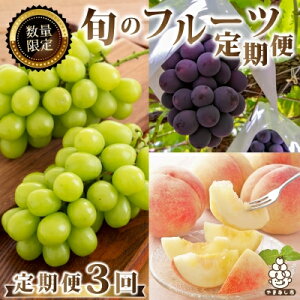 yӂ邳Ɣ[ŁzLO}㏸!_yցz2026N {̉ʕ EԂǂEVC}XJbg S2orS3_ VC}XJbg    Ԃǂ uhE  }XJbg R