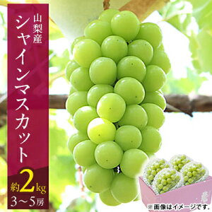 �y�ӂ邳�Ɣ[�Łz�y2026�N���� ��s�\��z500g 1kg 2kg 4kg���s�[�g���o!�R���Y�V���C���}�X�J�b�g1�[ ~ 9�[_�t���[�c �ʕ� �������� �Ԃǂ� ���� �}�X�J�b�g �_�ƒ��� ���̂� �ӂ邳�� �y�z���s��