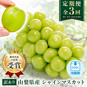 yӂ邳Ɣ[Łzyӂ邳Ɣ[Łzy󂠂zVC}XJbgIׂ2`3[E3`4[  2 3_ VC}XJbg 1kg 1.5kg t[c ʕ A ƒp Ԃǂ uhE  l