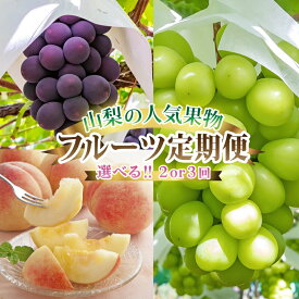 【ふるさと納税】ランキング急上昇中!_【定期便】2026年発送 旬の果物 桃・黒ぶどう・シャインマスカット 全2回or全3回_ シャインマスカット 桃 もも モモ ぶどう ブドウ 葡萄 マスカット 山梨県 山梨市 定期便 果物【配送不可地域：離島・沖縄県】【G4005775】
