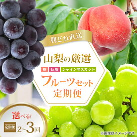 【ふるさと納税】山梨県産 桃・巨峰・シャイン 全2回・3回 選べるフルーツ定期便_ フルーツ定期便 ぶどう 葡萄 シャインマスカット 巨峰 桃 モモ もも 果物 フルーツ 山梨県 山梨市 送料無料 贈答 ギフト 【配送不可地域：離島・沖縄県】【G4076701】