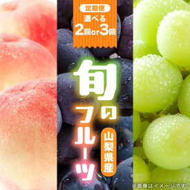 【ふるさと納税】 旬の果物 桃3～8玉・黒ぶどう1房・シャインマスカット1房～2房 全2回or全3回【配送不可地域：離島】【G4066669】