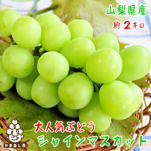 yӂ邳Ɣ[ŁzZ VC}XJbg 1.2kg / 1.5kg / 2kg (2`4[/2~5[/3~5[)_ӂ邳 }XJbg 1200g 1500g 2000g Ԃǂ uhE  t[c ʕ  lC R Rsyzs