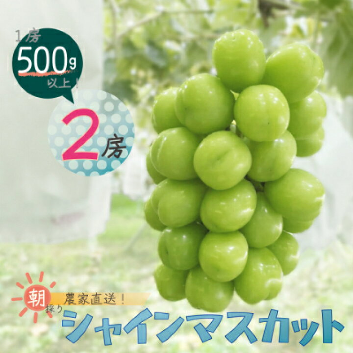 楽天市場 ふるさと納税 先行受付 ぶどう シャインマスカット 2房入り 1kg以上 配送不可地域 離島 山梨県山梨市