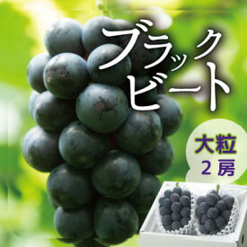 【ふるさと納税】【2026年発送分先行予約】山梨産ブラックビート 2房(約1kg) 化粧箱入り レアな希少品種_ ふるさと納税 ふるさと フルーツ ギフト 果物 ブドウ 葡萄 人気 美味しい 山梨県 【配送不可地域：離島・沖縄県】【1041054】