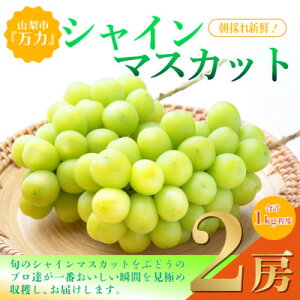 yӂ邳Ɣ[ŁzVC}XJbg 2[ (v1kgx) YҒ ! Rsw͎Yx_t[c ʕ  }XJbg uhE Ԃǂ  ӂ邳 lC R R  yzs
