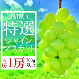 【ふるさと納税】山梨県山梨市産　特選　旬の採れたてシャインマスカット　1房　(700g以上)【配送不可地域：離島】【1134844】