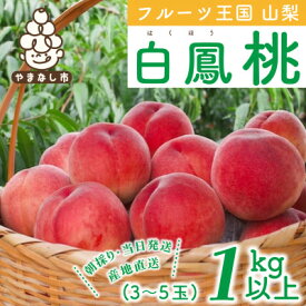 【ふるさと納税】 山梨県産 桃 白鳳 1kg 以上 (3～5玉) _ ふるさと納税 もも モモ フルーツ 果物 旬 くだもの はくほう ピーチ ふるさと 産地直送 山梨県 山梨市 山梨 人気 美味しい 【配送不可地域：離島・沖縄】【1137259】