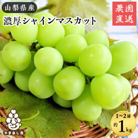 【ふるさと納税】農園直送!濃厚シャインマスカット　約1kg(1～2房入り) ふるさと納税【配送不可地域：離島、沖縄県】【1299620】