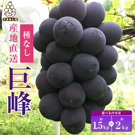 【ふるさと納税】巨峰約1.5kg/約2kg(3～4房/4～5房 ) 銀河農園まきおか甘くてジューシー巨峰 (種なし)_ ふるさと納税 ふるさと ぶどう ブドウ 葡萄 フルーツ 果物 くだもの 山梨県 山梨市 山梨 送料無料【配送不可地域：離島】【G1111660】