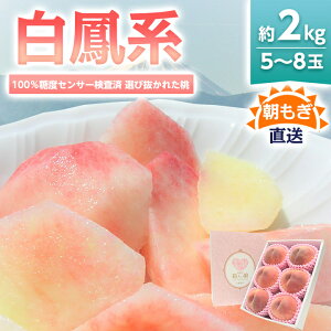 yӂ邳Ɣ[Łzs2026N@s\t wPnx 2kg 5`8 ! Iєꂽ_ ӂ邳Ɣ[ ӂ邳   P t[c ʕ  R Rs R lC 