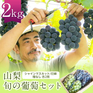 yӂ邳Ɣ[ŁzVC}XJbg  e2[ {̕Zbg2kg (Ȃ)_ ӂ邳Ɣ[ t[c ʕ  }XJbg uhE Ԃǂ  Hה lߍ킹 lC R R 