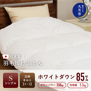 yӂ邳Ɣ[Łz HѕzcyVOzzCg_E 85 1.1kg ̃Lg DP350yS-1z |zc VO Q zc ӂƂ tp Hp ~p H~p