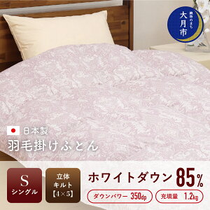yӂ邳Ɣ[ŁzHѕzc yVOz zCg_E 85 1.2kg ̃Lg DP350yS-3z |zc VO Q zc ӂƂ tp Hp ~p H~p