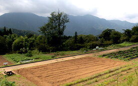 【ふるさと納税】自分で野菜を作り収穫できる貸し農園