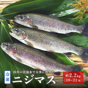 yӂ邳Ɣ[Łzj̗ⓀjW}X 2.2kg 20`22 RY