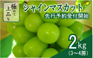 yӂ邳Ɣ[Łz y2025Ns\zVC}XJbg 2kg 3 ` 4[ _R匎s 800N̓`^ I  lC st \ Mtg Yn Ԃǂ  ʕ t[c  