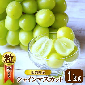 【ふるさと納税】【2026年発送】シャインマスカット 訳あり家庭用 粒 にてお届け 約1kg