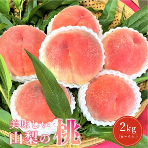 yӂ邳Ɣ[Łzys\zRY  ̂ 2kg 6 ` 8  { Yn Yi { n  蕨 p Mtg ʕ t[c  s[` Yn 