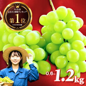 【ふるさと納税】シャインマスカット 山梨県産 開催中 2026 年 先行 予約 シャインマスカット シャインマスカット ＼山梨県産 国産 ／ 特選 寄附額 改定 予定 予約 ぶどう 果物 フルーツ シャイン マスカット 大粒 桃 定期便