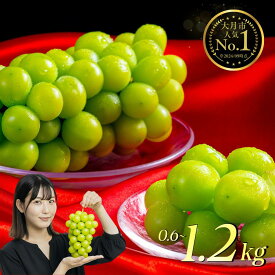 【ふるさと納税】シャインマスカット 山梨県産 レビューキャンペーン 開催中 2026 年 先行 予約 シャインマスカット 社員マスカット ＼山梨県産 国産 ／ 特選 寄附額 改定 予定 予約 ぶどう 果物 フルーツ シャイン マスカット 大粒 桃 定期便