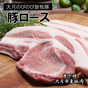 yӂ邳Ɣ[Łzy󏭓؁z匎̂т̂ѕq؁yJcEXe[Lp[Xz600gȏ (150g×4)