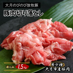 yӂ邳Ɣ[Łz R̒Ŏ炳ꂽ 󏭓 匎̂т̂ѕq؂̐؂藎Ƃ 1.5kgȏ 300g×5pbN