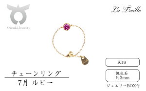 �y�ӂ邳�Ɣ[�Łz�`�F�[�������O�@K18�y�a����1�`12���z