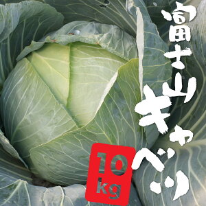 yӂ邳Ɣ[Łzys\zxmRLxc@10kg