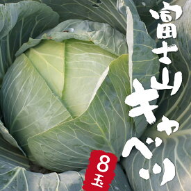 【ふるさと納税】キャベツ 富士山 8玉 9kg【2026年出荷分先行予約】 朝採れ　産地直送