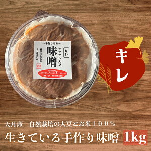 yӂ邳Ɣ[ŁzVR IIc哤X 匎Y R͔|哤100%gp
