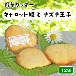 yӂ邳Ɣ[Łz򑐑V@쑐NbL[uLbgPƃiYiqv(55g × 12)