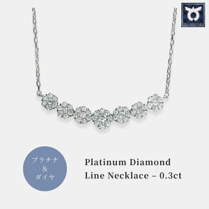 �y�ӂ邳�Ɣ[�Łz�v���`�i �_�C�� ���C���l�b�N���X 0.3CT N376DI-P ���f�B�[�X �t�@�b�V���� �M�t�g �v���[���g �a���� �L�O�� ���j�� ������� ��l �W���G���[�P�[�X�t ���b�s���O �A�N�Z�T