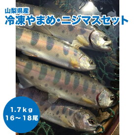 楽天市場 ニジマスの通販