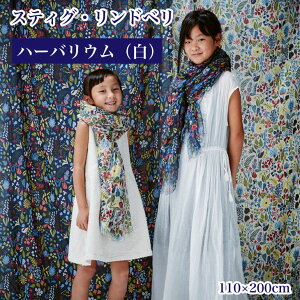 【ふるさと納税】スティグ・リンドベリ ハーバリウム 白