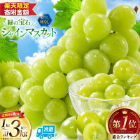【2026発送】 シャインマスカット フルーツ ぶどう 果物 ふるさと納税...