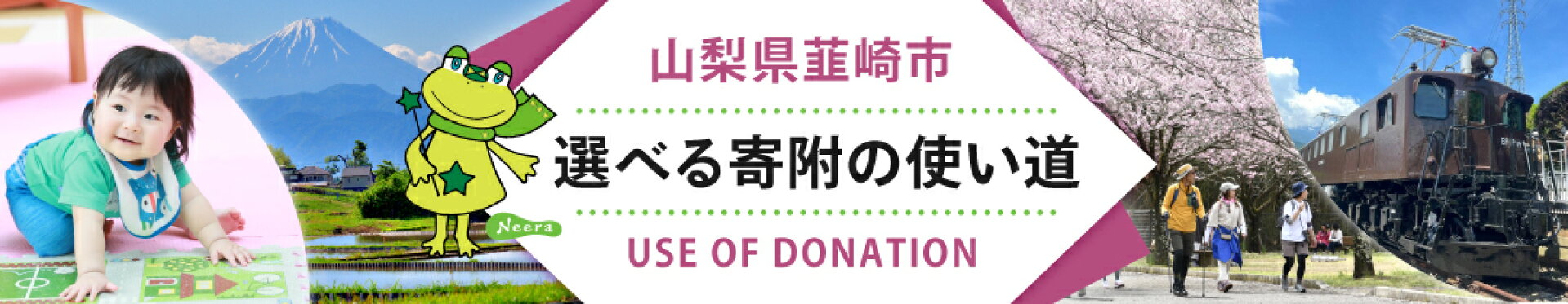 寄附金の使い道