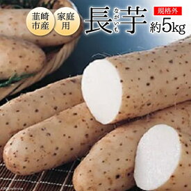 楽天市場 山芋 自然薯 産地 都道府県 山梨 その他野菜 野菜 きのこ 食品の通販
