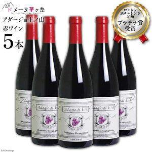 yӂ邳Ɣ[Łz C R  ԃC 750ml 5{ }XJbgEx[[A n nԂǂ Mn 10-9.uA_[WmRv ԃC 5{ h`W v`i ̓ ̓ L