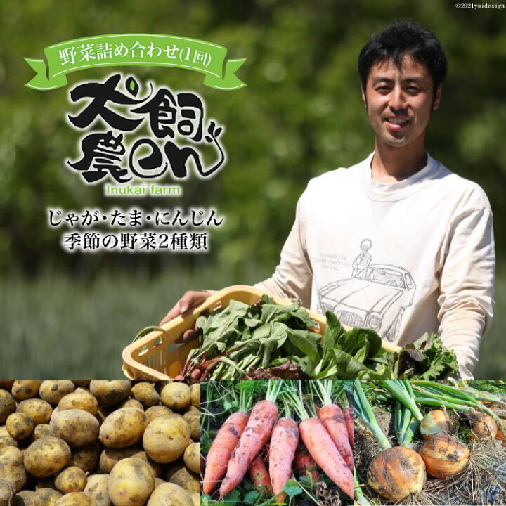 楽天市場 ふるさと納税 カレー大好き農家の じゃが たま にんじん 季節の野菜2種類 22年8月前半から順次出荷 犬飼農en 山梨県 韮崎市 山梨県韮崎市