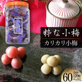 【ふるさと納税】【やばいだろ】粋な小梅 2粒×60 計120粒 [山梨農産食品 山梨県 韮崎市 20742093] 梅干し 梅干 うめぼし 梅 小粒 小梅 カリカリ梅 国産 個包装