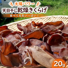 【ふるさと納税】 【太陽パワー】天日干し乾燥きくらげ 20g [山梨げんき農園 山梨県 韮崎市 20742269]