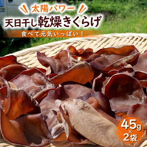 yӂ邳Ɣ[Łz yzp[zV炰 45gx2 [R񂫔_ R Bs 20742271]