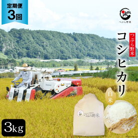 【ふるさと納税】米 3回 定期便 つぶら野米 コシヒカリ 白米 3kg×3回 総計9kg [つぶら野米 山梨県 韮崎市 20741906] こめ コメ お米 精米 こしひかり