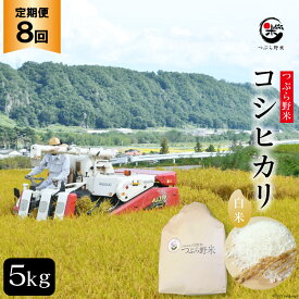 【ふるさと納税】米 8回 定期便 つぶら野米 コシヒカリ 白米 5kg×8回 総計40kg [つぶら野米 山梨県 韮崎市 20741913] こめ コメ お米 精米 こしひかり