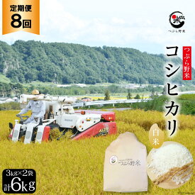 【ふるさと納税】米 8回 定期便 つぶら野米 コシヒカリ 白米 3kg×2袋×8回 総計48kg [つぶら野米 山梨県 韮崎市 20741916] こめ コメ お米 精米 こしひかり