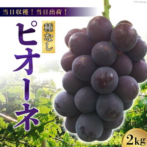 yӂ邳Ɣ[Łz y2026NzynIoׁIzsI[liȂj2kg [t@[ R Bs 20742847] t[c ʕ  uhE Ԍ Gߌ ①