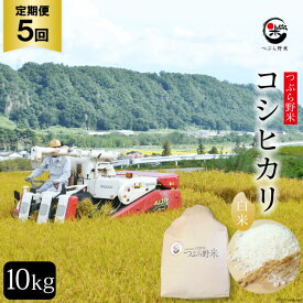 【ふるさと納税】米 5回 定期便 つぶら野米 コシヒカリ 白米 10kg×5回 総計50kg / つぶら野米 / 山梨県 韮崎市 [20741644] こめ コメ お米 精米 こしひかり