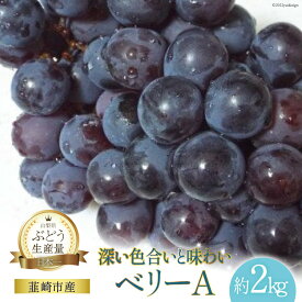 【ふるさと納税】 ぶどう ベリーA 約 2kg 【2026年発送】 山梨 やまなし ぶどう ブドウ 葡萄 マスカット ワインぶどう 果物 フルーツ 2キロ 山梨県産 産地直送 期間限定 季節限定 冷蔵 2026 [フルーツランド平賀 山梨県 韮崎市 20742838]